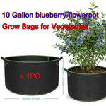 sacs culture légumes fibre végétale noir poignées portables 10 gallons 50 pièces