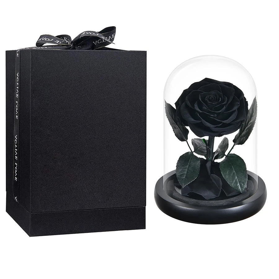 rose stabilisée rouge dôme verre transparent décoration maison cadeau élégant fleur éternelle décorative