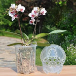 pots transparents orchidées phalaenopsis plastique modernes grille racinesControlEvents