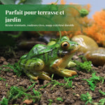 statue grenouille verte réaliste deco jardin ludique extérieure animaux decor vertesextérieur ornement