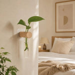vase mural transparent minimaliste bois plante verte femmes