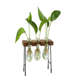 vase verre transparent support bois industriel moderne plante hydroponique décoration intérieure minimaliste