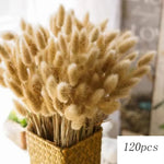 bouquet pampas séchés décoration bohème blanc beige vases différents mariage anniversaire