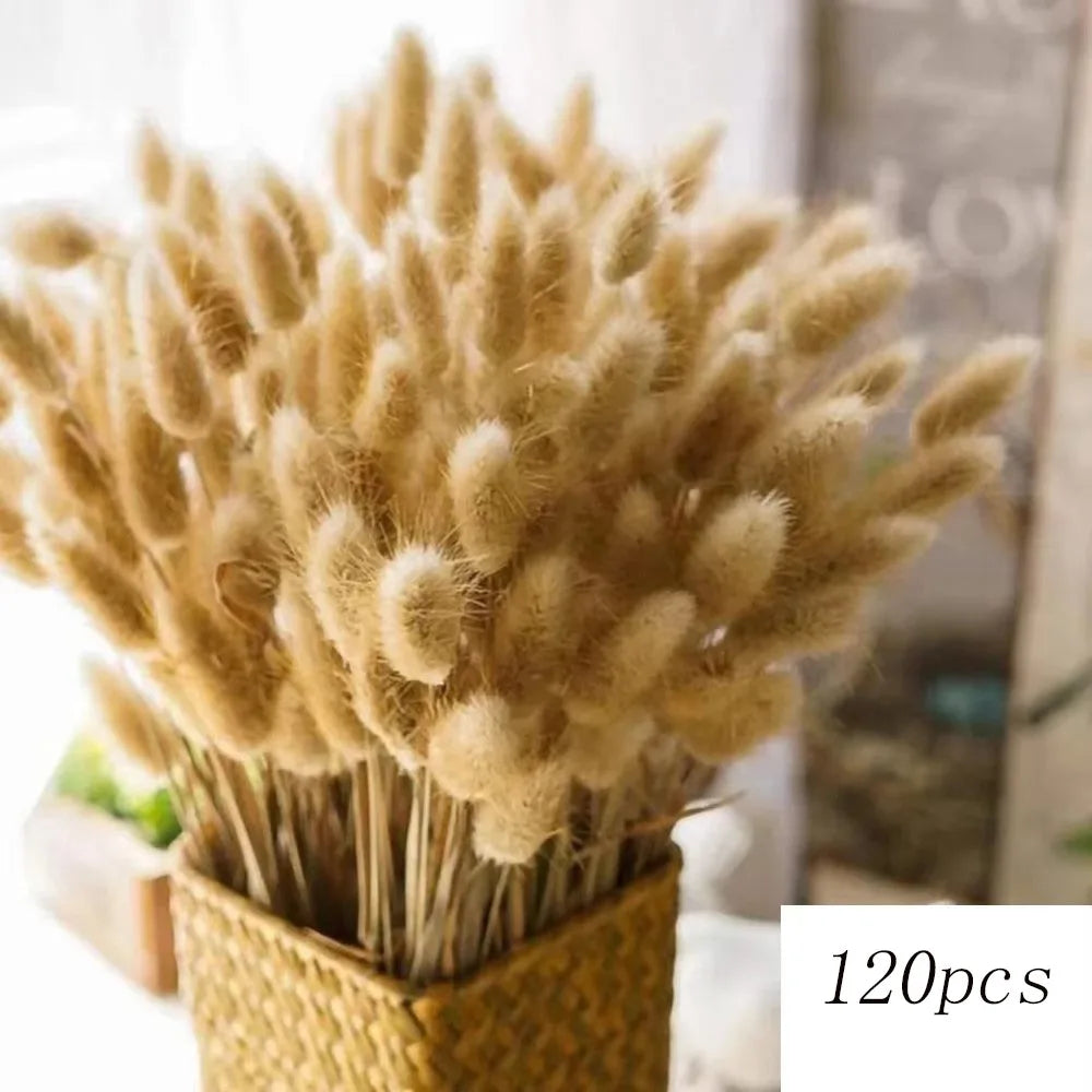 bouquet pampas séchés décoration bohème blanc beige vases différents mariage anniversaire
