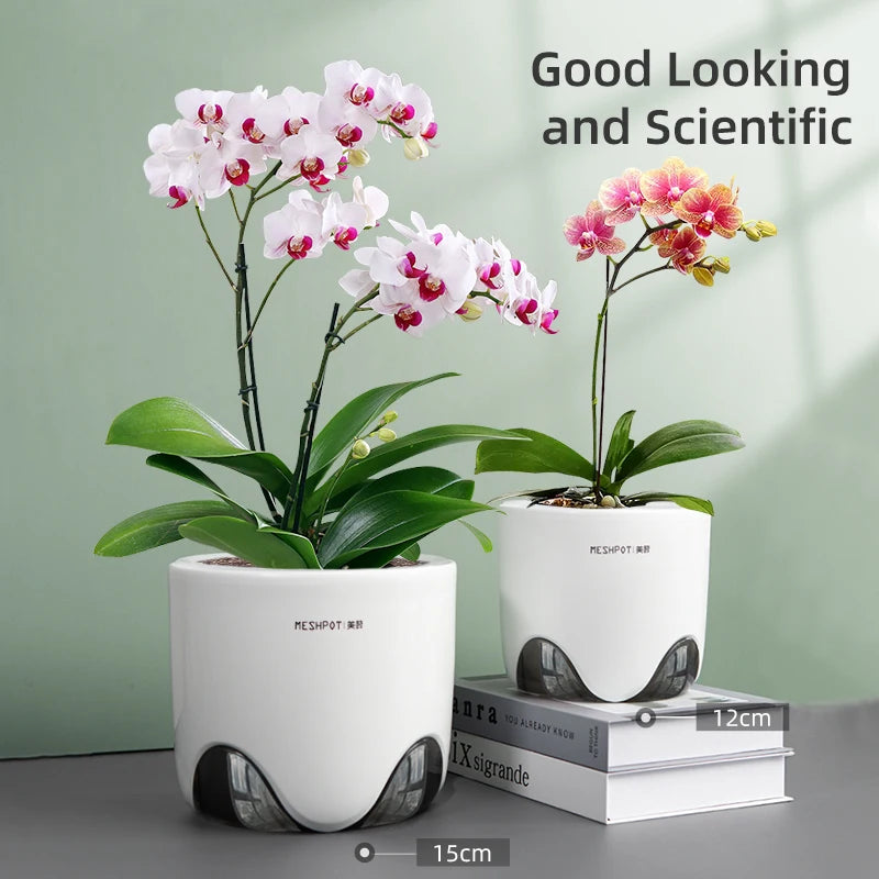 pots orchidées mesh double couche ventilation racines spirale transparent moderne blanc gris