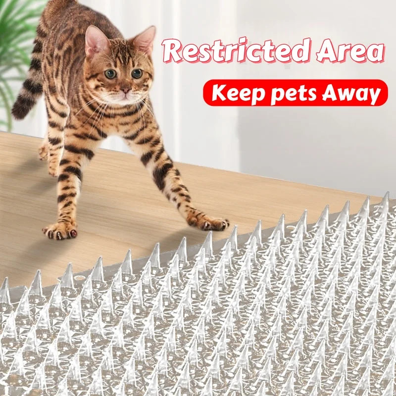 tapis anti griffes chat protection picots transparent utilitaire fonctionnel fixations œilletsintérieur maison