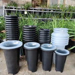 pots plante moderne perforés noir transparent profonds jardinintérieur 10pcs 5pcs