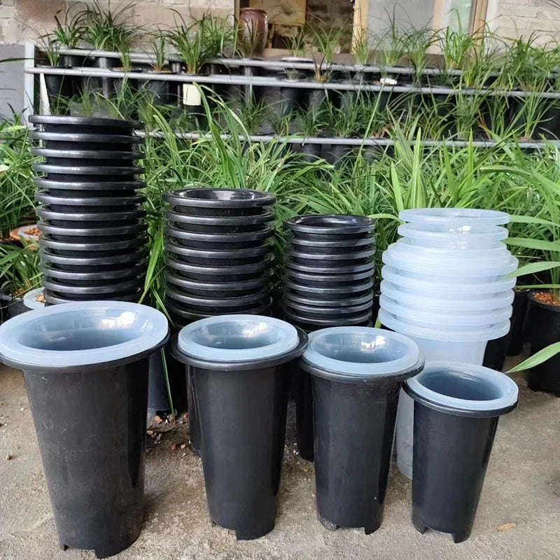 pots plante moderne perforés noir transparent profonds jardinintérieur 10pcs 5pcs