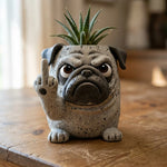cache pot résine animal réaliste gris texture granuleuse plante verte cactus succulente maison jardin