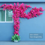 Guirlande fleurs artificielles bougainvilliers rose moderne extérieur décoration mariage anniversaire fêtes