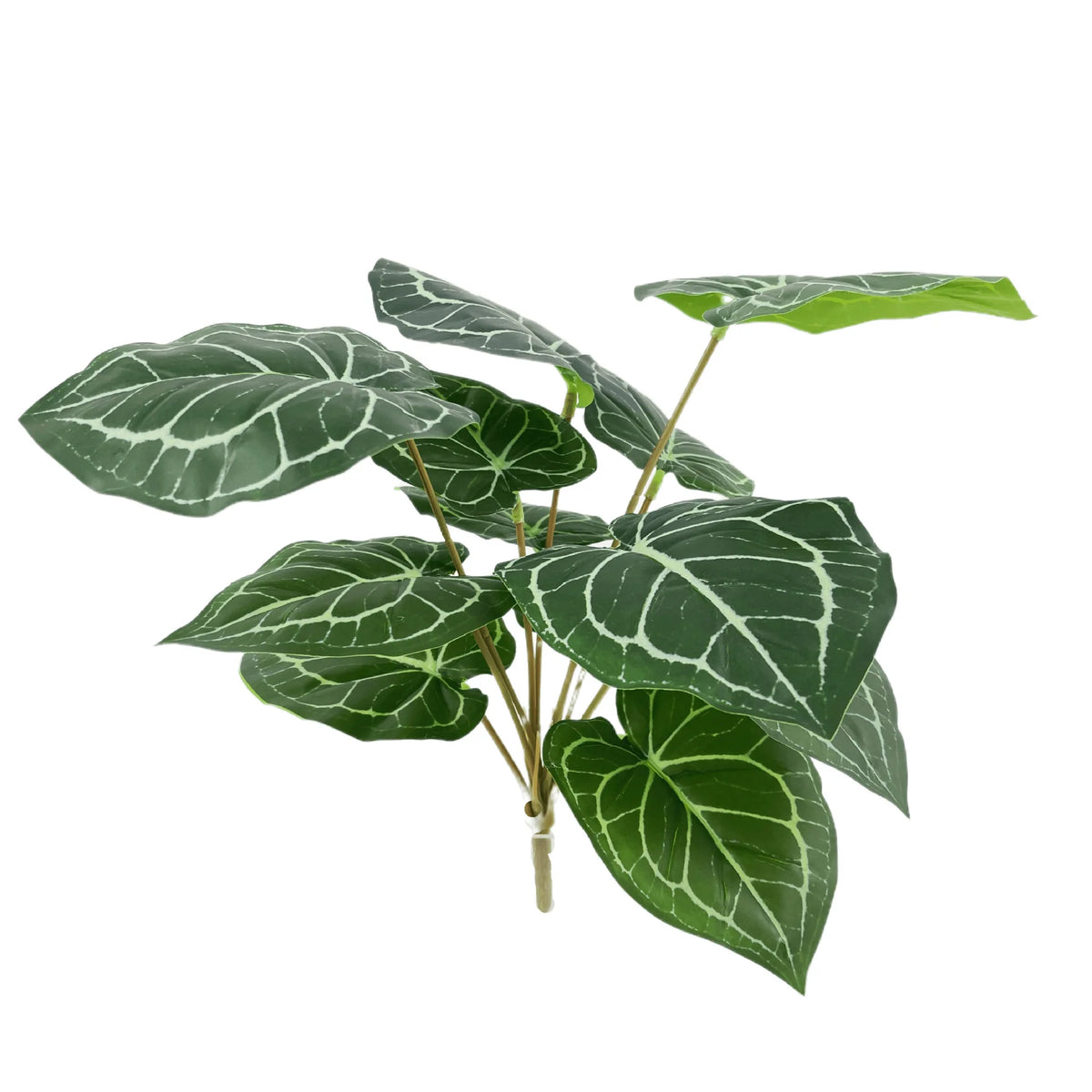 plante artificielle décorative feuilles vertes blanches rouges salon maison moderne naturel