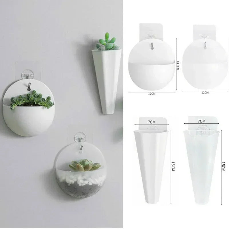 plante murale moderne pot osier suspendu décoration intérieure transparent succulente minimaliste