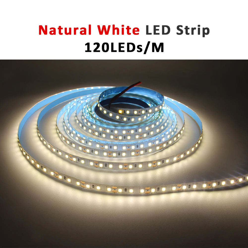 ruban led 12v 120leds/m blanc chaud adhésif moderne 50000h 3000k certification rohs ccc fcc