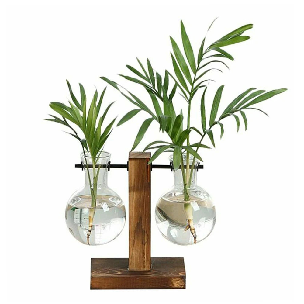 vases verre transparents supports bois plantes hydroponiques industriel minimalisteintérieur rustic