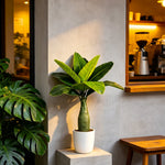Décoration intérieur plante artificielle arbres feuilles vertes pots diverses tailles 37 40cm