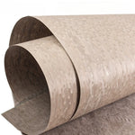 papier décoratif texture boisée naturel rustique beige clair foncé marron