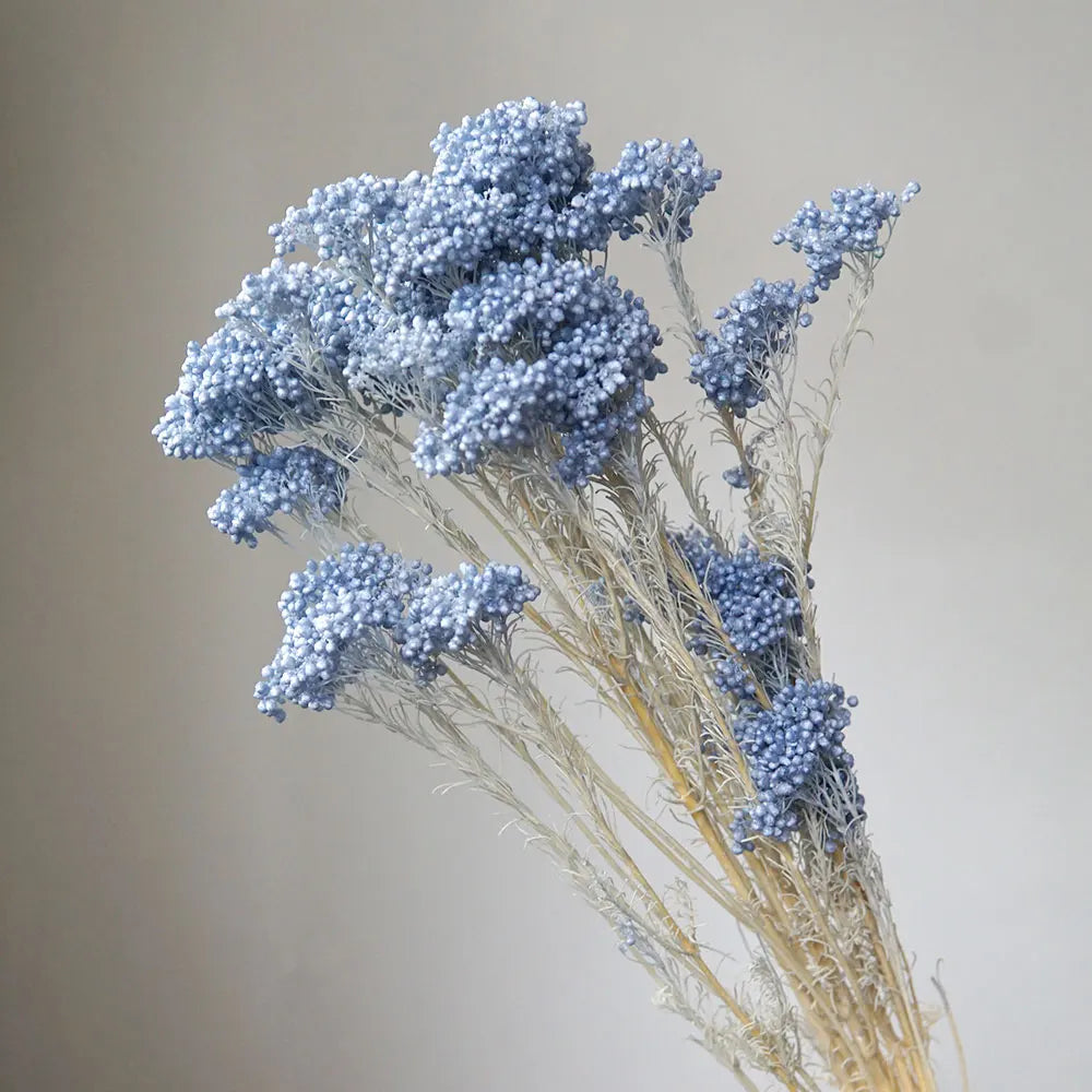 bouquet fleurs séchées naturelles rustique décoration maison mariage anniversaire petit volume décoratif