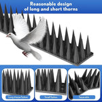 anti oiseaux pointes coniques protection jardin blanc noir moderneextérieur sécurité avifaune