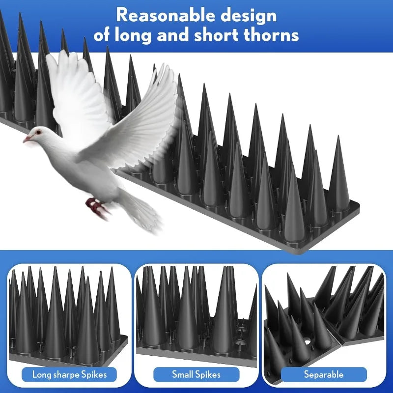 anti oiseaux pointes coniques protection jardin blanc noir moderneextérieur sécurité avifaune
