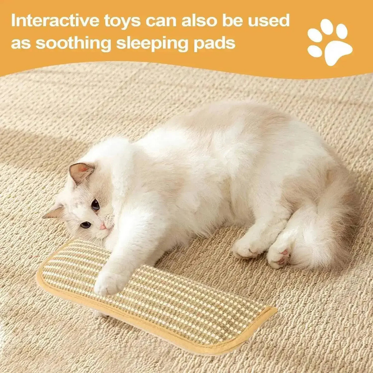 tapis chat moderne beige tissé résistant jouet interactif minimaliste