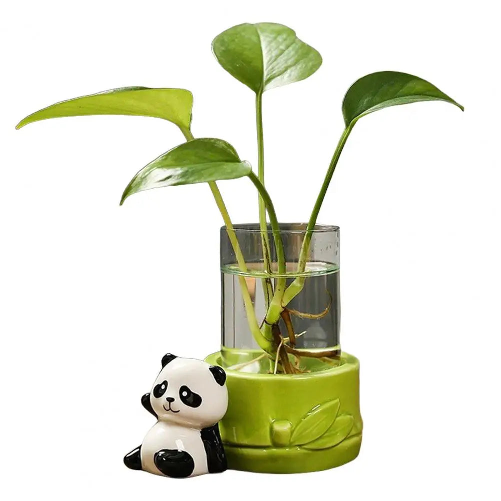 cache pot verre transparent base céramique panda lapin feuilles moderne intérieur blanc noir vert