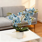 décoration murale orchidées artificielles fleurs douces moderne pot blancintérieur