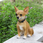 statue chihuahua résine animaux compagnie patio jardin extérieur lumières led lanterne transparente collier boucle