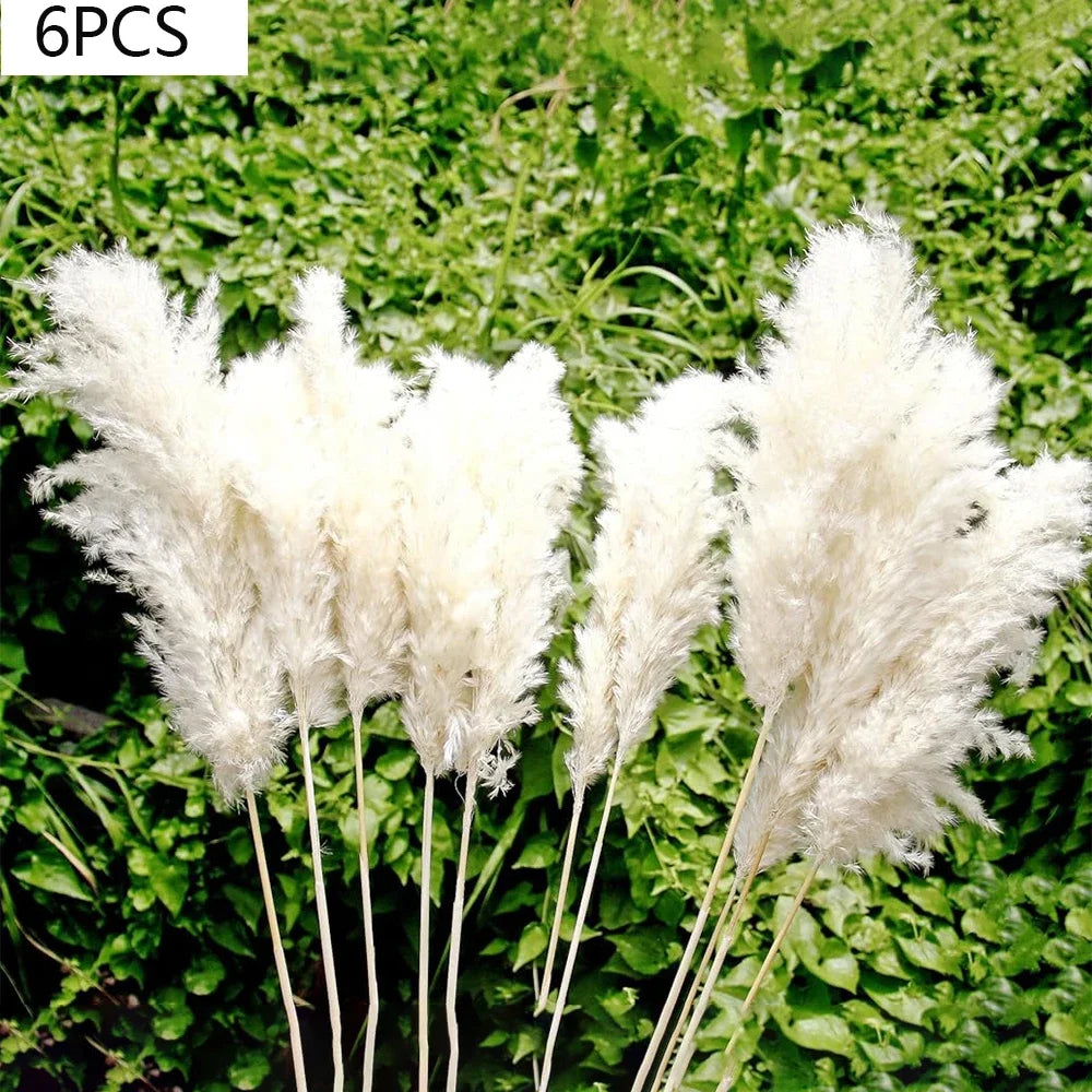 décoration boho plante séchée pampa blanche naturelle intérieur anniversaire mariage