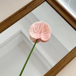 décoration intérieure plante artificielle feuilles ovales moderne vase boîte enjoy life rouge vert blanc