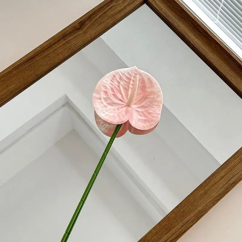 décoration intérieure plante artificielle feuilles ovales moderne vase boîte enjoy life rouge vert blanc