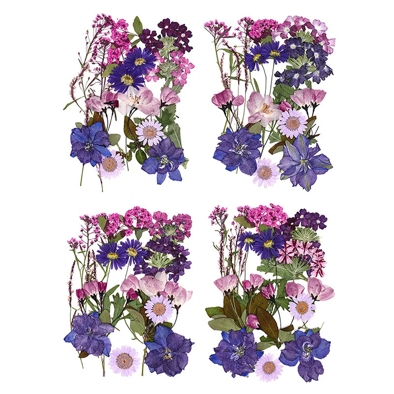 fleurs séchées assortiment variété naturelle bouquets décor intérieur artisanat décoration maison fixations invisibles couleurs