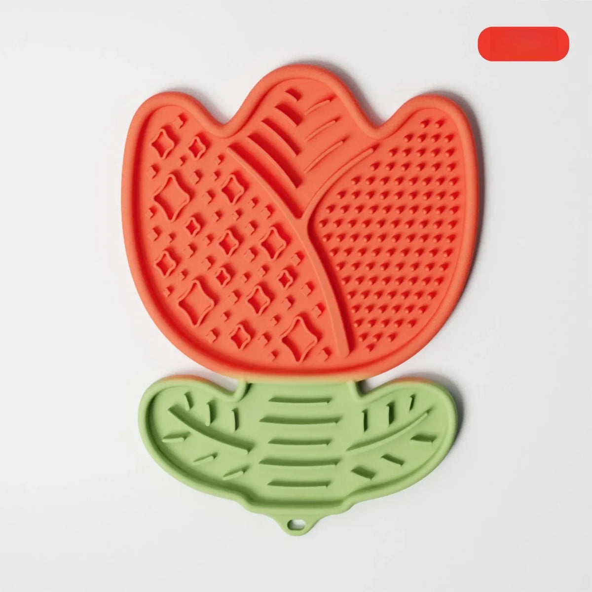 bol alimentaire animal moderne forme tulipe silicone antidéglutition antichoque