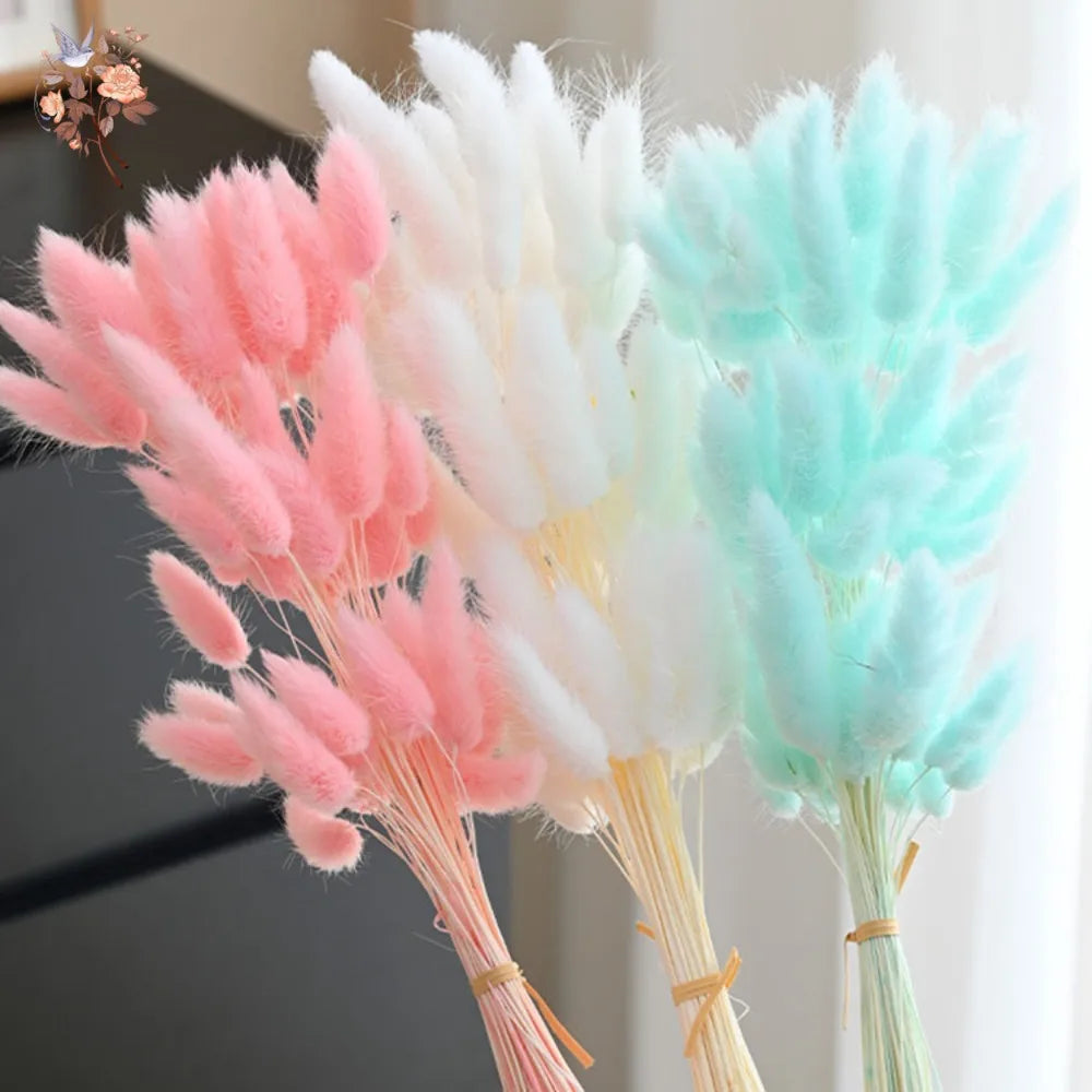 décoration intérieure bouquet fleurs sèches plumes modernes rose blanc vert pastel