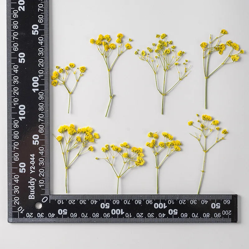 fleurs séchées bouquet naturel violet blanc jaune décoration intérieure minimaliste anniversaire baby shower
