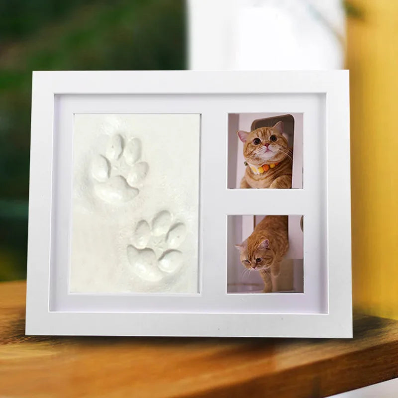 cadre photo moderne imprime pattes animaux photos chats noir blanc