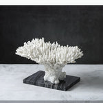 sculpture décorative corail blanc noir texture naturelle décorative sculptural base pierre noire moderne