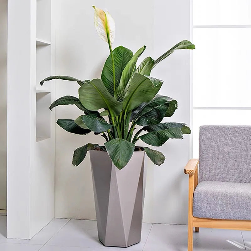 pot plantes contemporain gris beige noir facettes géométriques intérieur extérieur