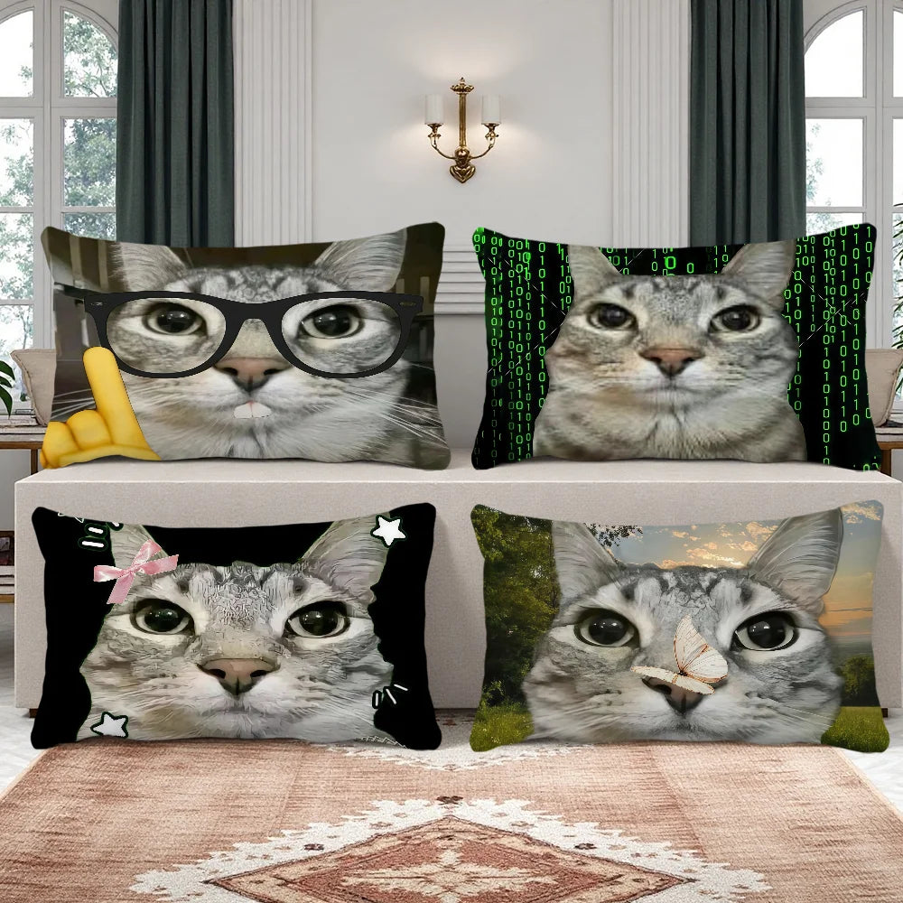 housse coussin imprimé chats lunettes gris noir moderne 30x50cm 40x60cm 48x74cm 50x70cm double face