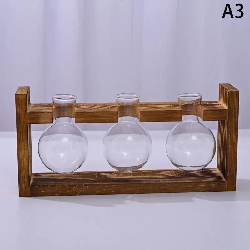 support plantes cadre bois marron verre transparent modernes vases coeurs plantes vertesintérieur décoration minimaliste