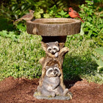 fontaine oiseaux résine texture bois brun gris naturelle animaux deco jardinextérieur