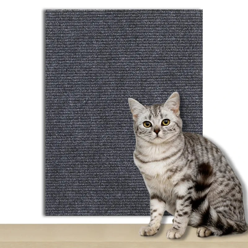 grattoir chats texture grattable beige clair adhésif moderne protection meubles 30x100cm