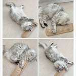 tapis chat moderne beige tissé résistant jouet interactif minimaliste