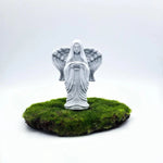 statue ange blanc pierreux decoratif mousse verte plante succulente base bois