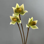décoration intérieure orchidée artificielle branche feuilles vertes pétales colorées naturelle maison festive