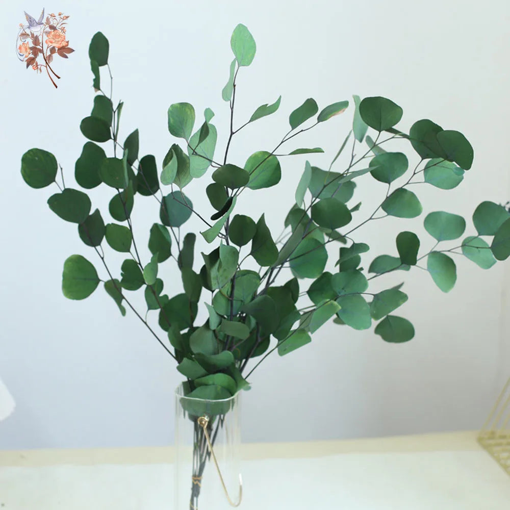 décoration intérieure feuilles eucalyptus vert naturel dried flowers wedding party