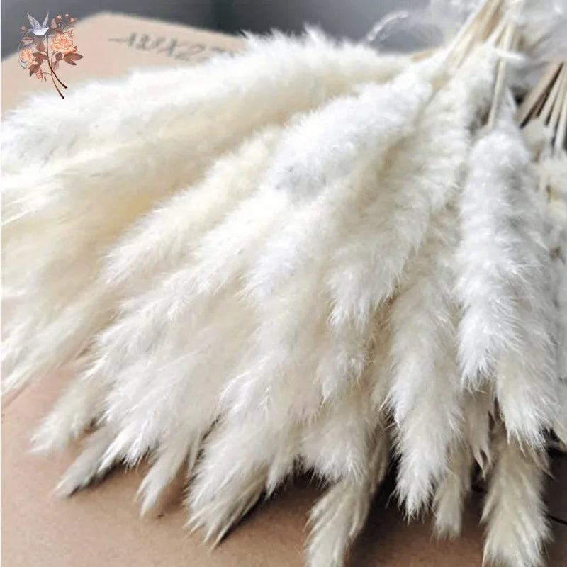 plumes pampas séchées blanches décorations fleurs naturelles rustiques mariage maison intérieur bouquet