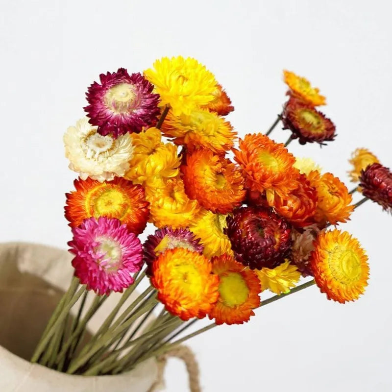 fleurs séchées marguerites tournesols orange jaune rustique décoration maison anniversaire baby shower événements