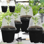 pots semis transparents noirs pratiques jardinage plantes croissance tablette étiquettes
