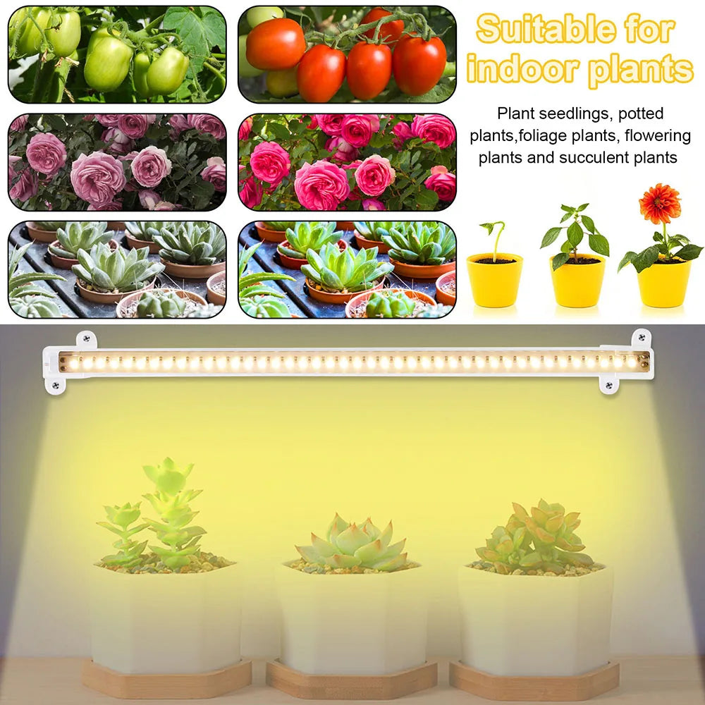 éclairage led plante 3000k têtes 30 50cm blanc vis contrôleur distant