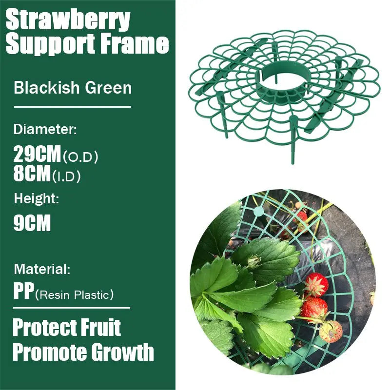 support fraises plastique noirâtre vert grille circulaire moderne clips tiges balcon jardin anti salissure